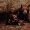 Flash Furniture 2' x 3' Brown Mother Bear & Cubs Olefin Area Rug OKR-RG1114-23-BN-GG - alternate 3